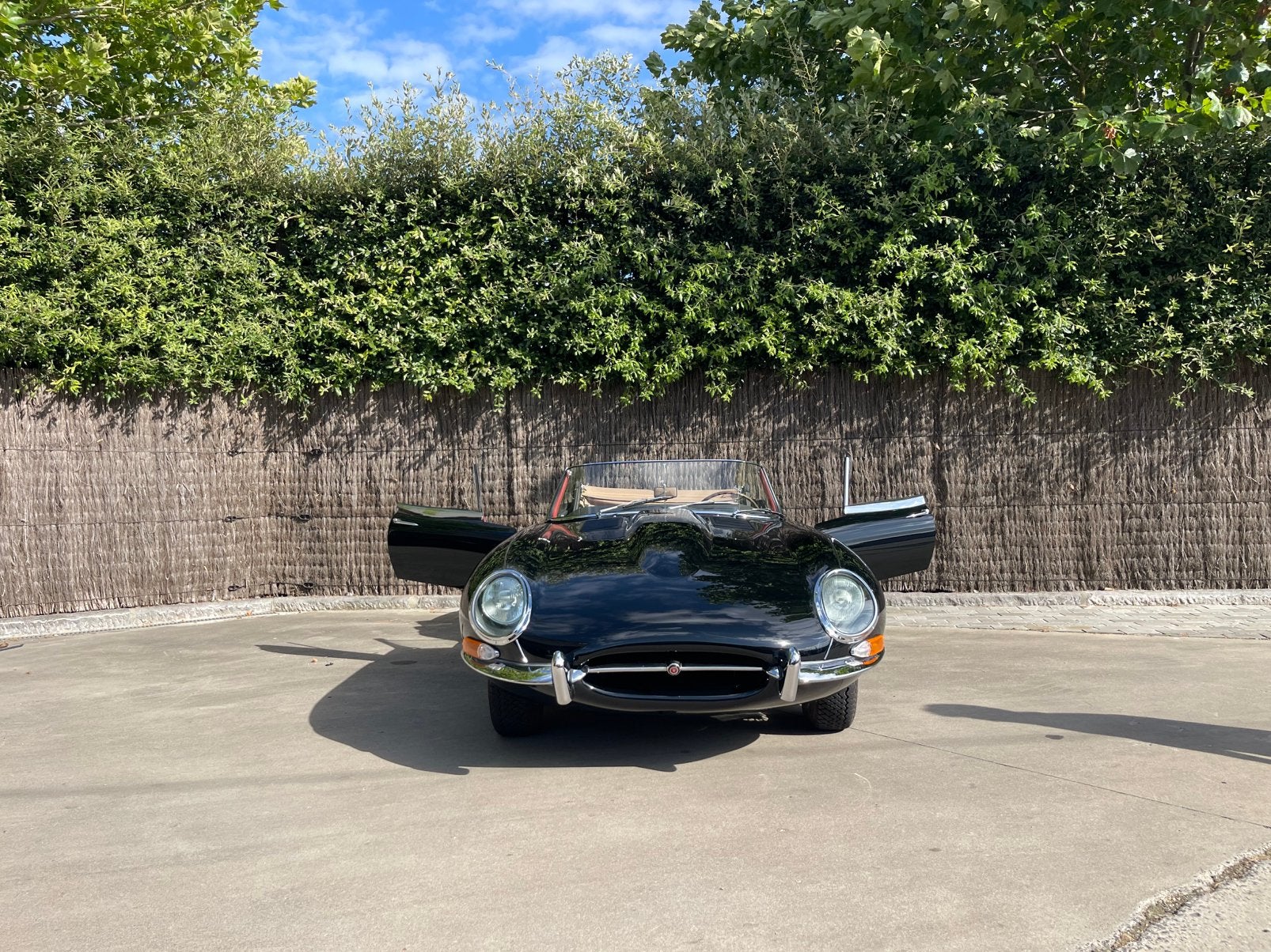 Jaguar E-Type Series 1 Roadster – 1962, foto 6