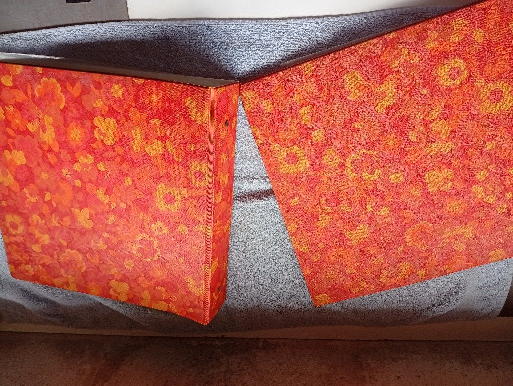 Lot 2 Classeurs Rangement Vinyle 33T Rexon Vintage 70s Fleur, Enlèvement ou Envoi
