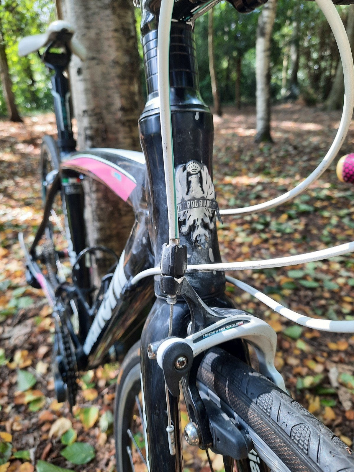 Bianchi Dama Bianca, Fietsen en Brommers, Ophalen, 28 inch