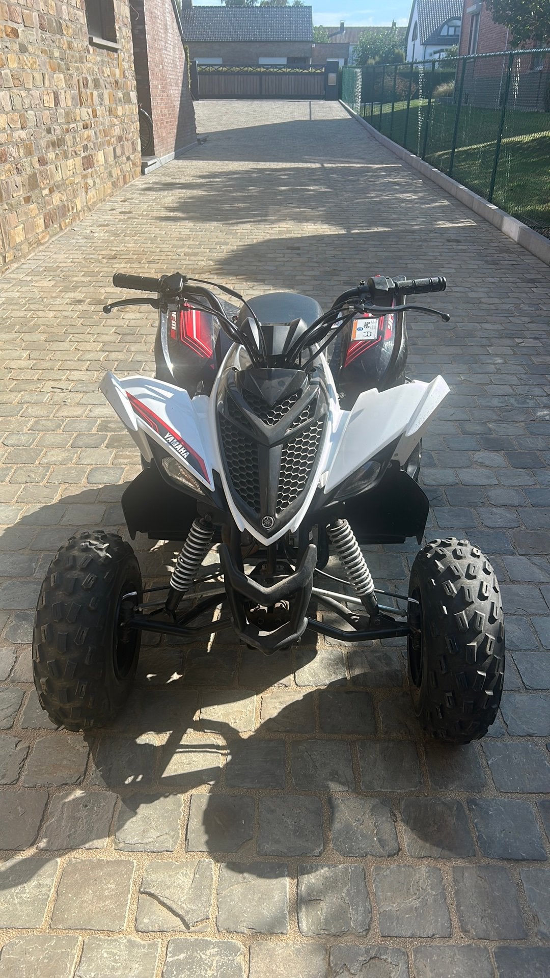 Yamaha raptor 90, Motoren