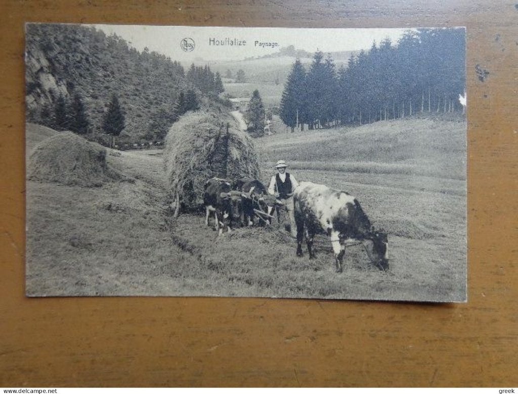 Postkaart Houffalize, paysage, Ophalen of Verzenden, Ongelopen, Luxemburg