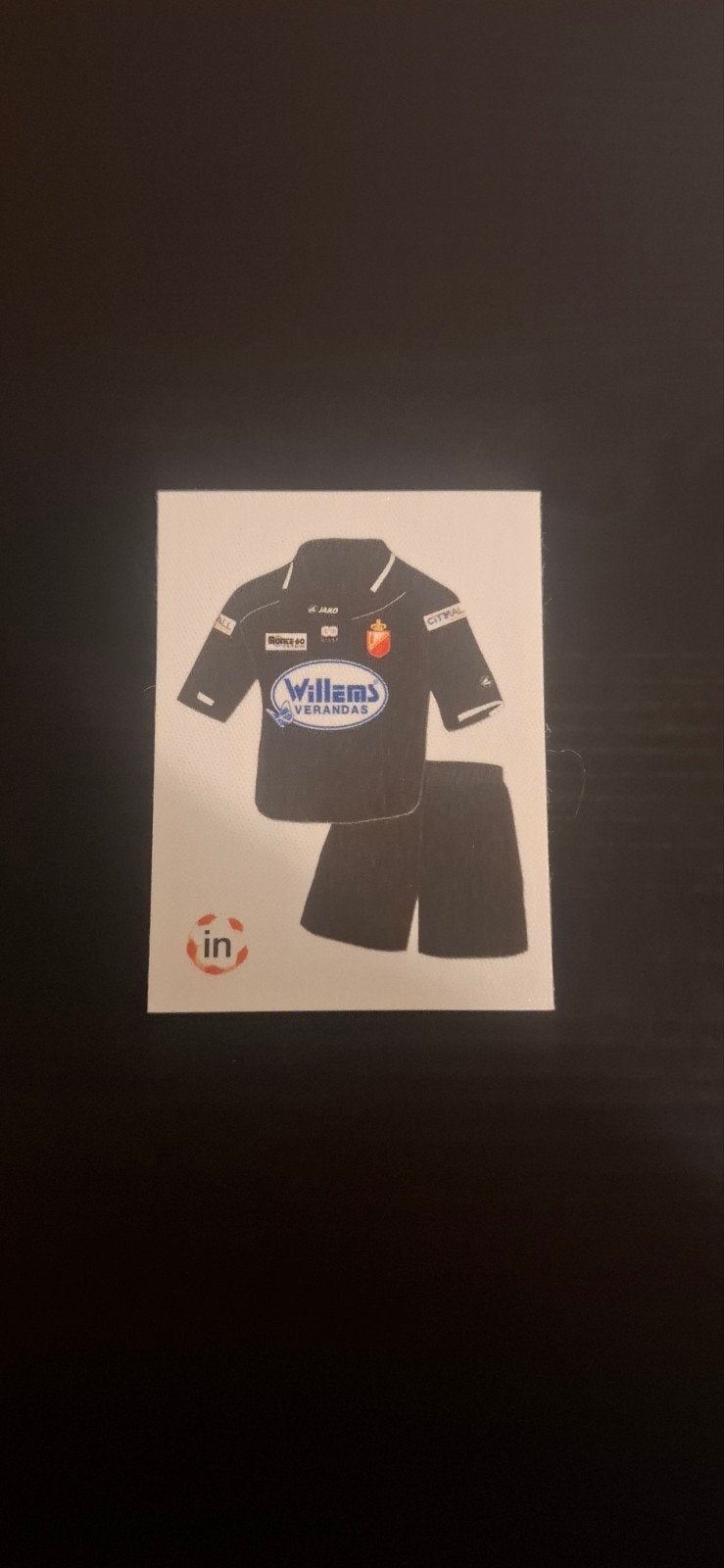 Panini voetbal 2012, Ophalen of Verzenden