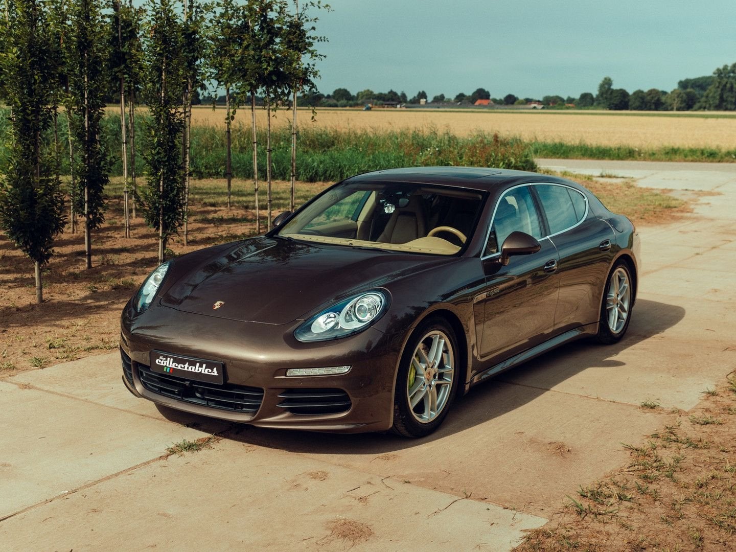 Porsche Panamera 3.0 S E-Hybrid Origineel NL en 1e eigenaar, Autos, Porsche, Achat, Beige, Entreprise, Carnet d'entretien