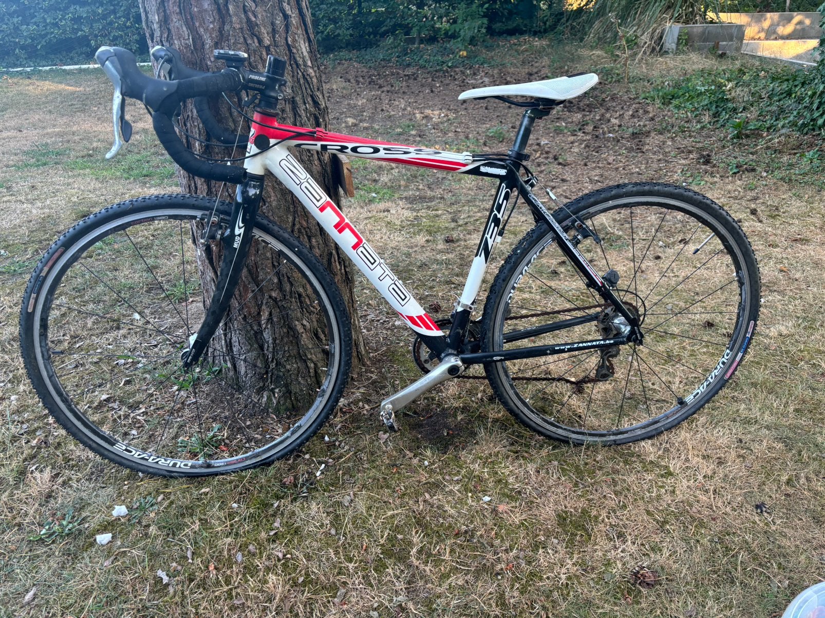 Zannata cyclocrossfiets - heeft onderhoud nodig, Autres marques, Frein sur jante, Aluminium, Enlèvement