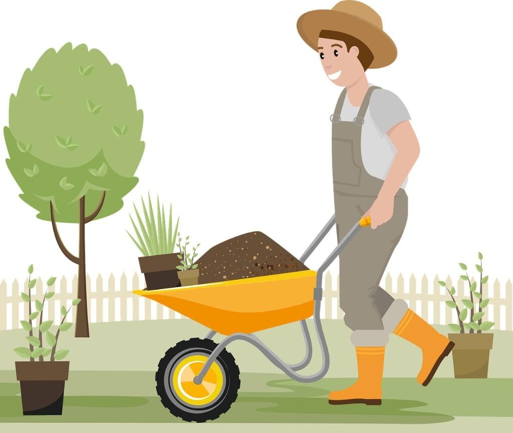 Tuinman zoekt, Diensten en Vakmensen, Tuinmannen en Stratenmakers, Tuinonderhoud of Snoeiwerk, Garantie