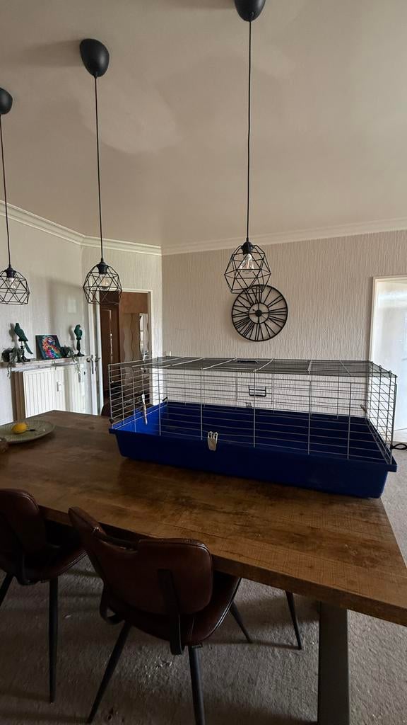 Grote Knaagdierkooi 116x58x47, Dieren en Toebehoren, Ophalen of Verzenden, Zo goed als nieuw
