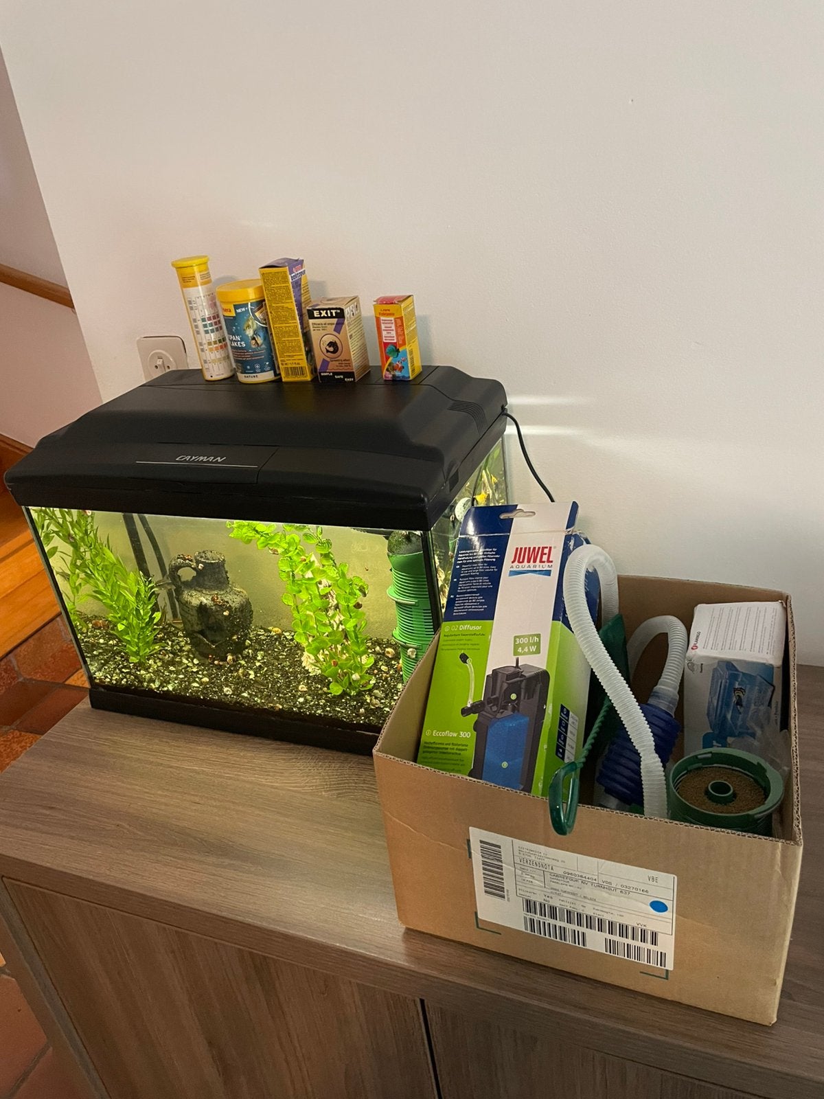 Aquarium des îles Caïmans avec poissons et accessoires, Enlèvement, Comme neuf