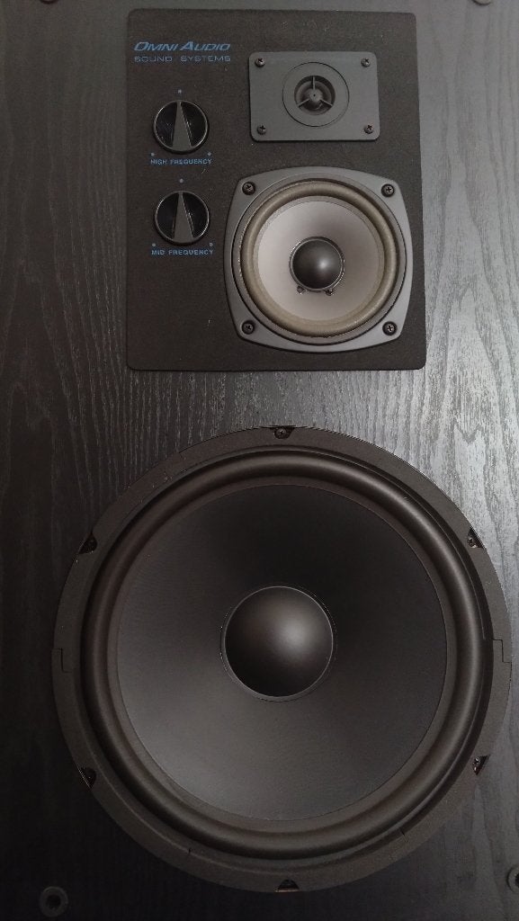 Luidsprekers Omni Audio, Audio, Tv en Foto, Luidsprekerboxen, Vloerstaande luidspreker, Gebruikt, 120 tot 150 watt, Ophalen