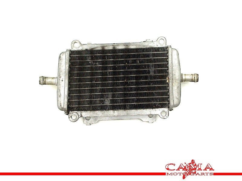 RADIATEUR Piaggio GTS 250 i.e 2005-2013 (GTS250), Motoren, Dhr. S. di Majo, Gebruikt, Info@cama-motorparts.nl, P.J. Troelstraweg 8 8
3144 CX  MAASSLUIS, NL
