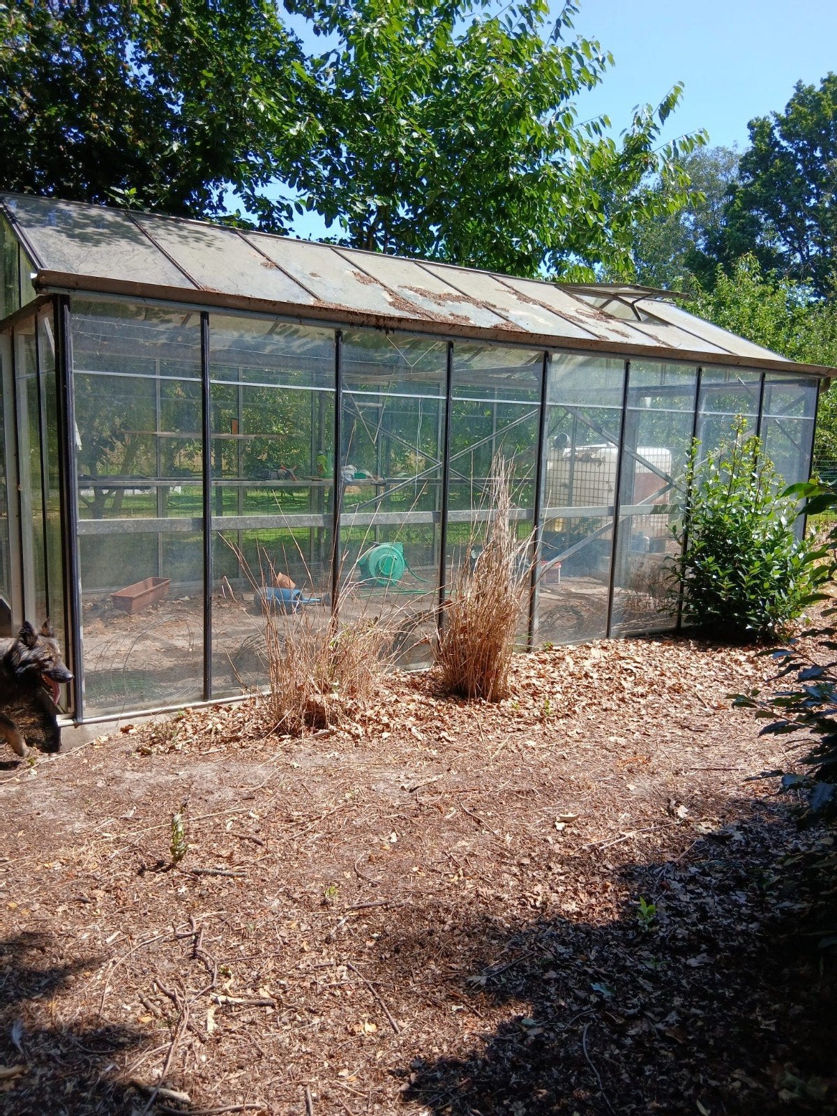 Serre /  greenhouse, Enlèvement