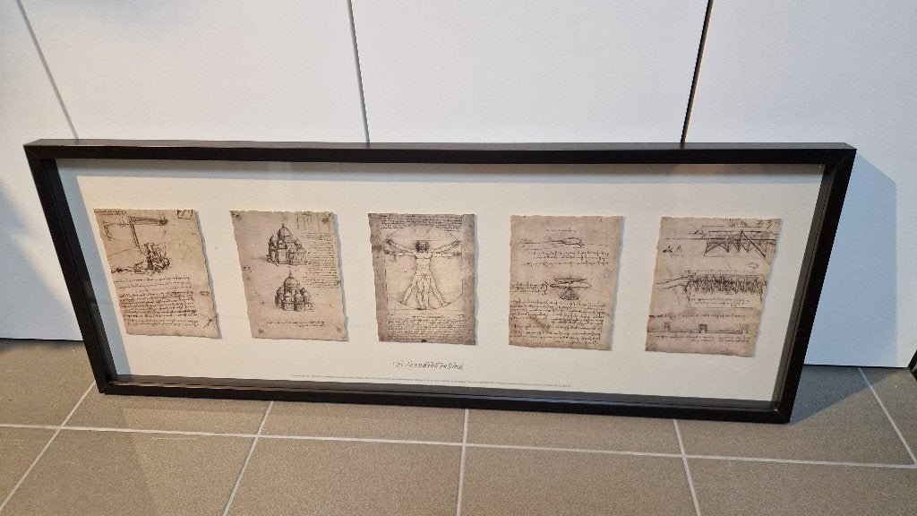 Cadre avec dessins de Léonard de Vinci, Enlèvement