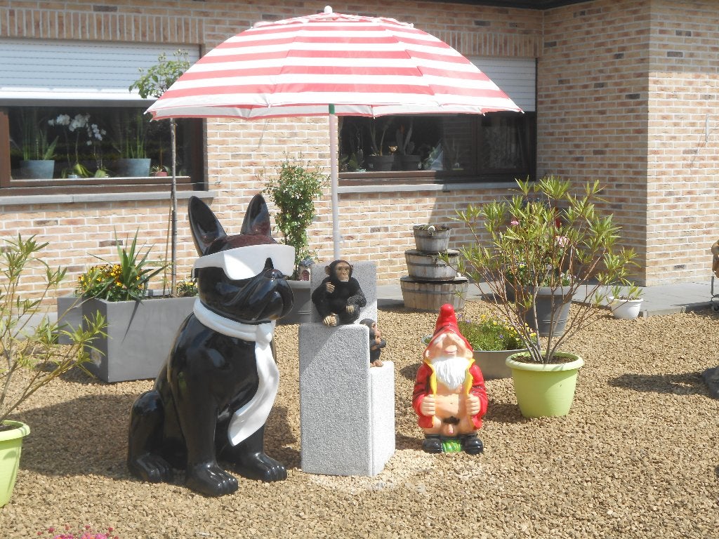 beeld, Ophalen, Zo goed als nieuw, Dier
