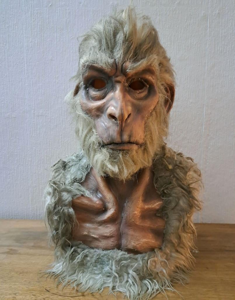 Cosplay Black Myth Wukong, Ophalen of Verzenden, Gebruikt, Kostuum