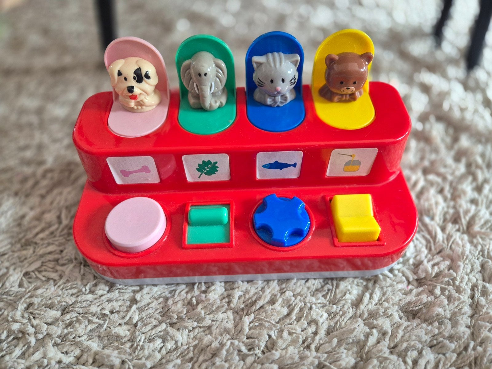 Jeux cache cache animaux, Enlèvement