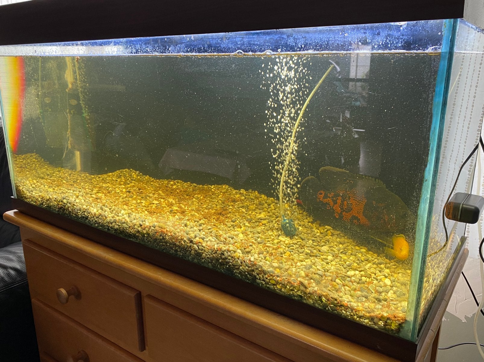 Aquarium met lamp en filter, Dieren en Toebehoren, Vissen | Aquaria en Toebehoren, Ophalen, Zo goed als nieuw