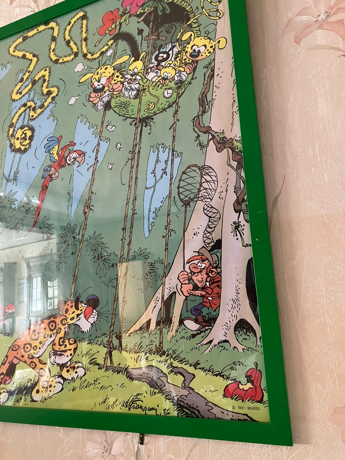 Franquin - het nest van de marsupilami, Verzamelen, Ophalen