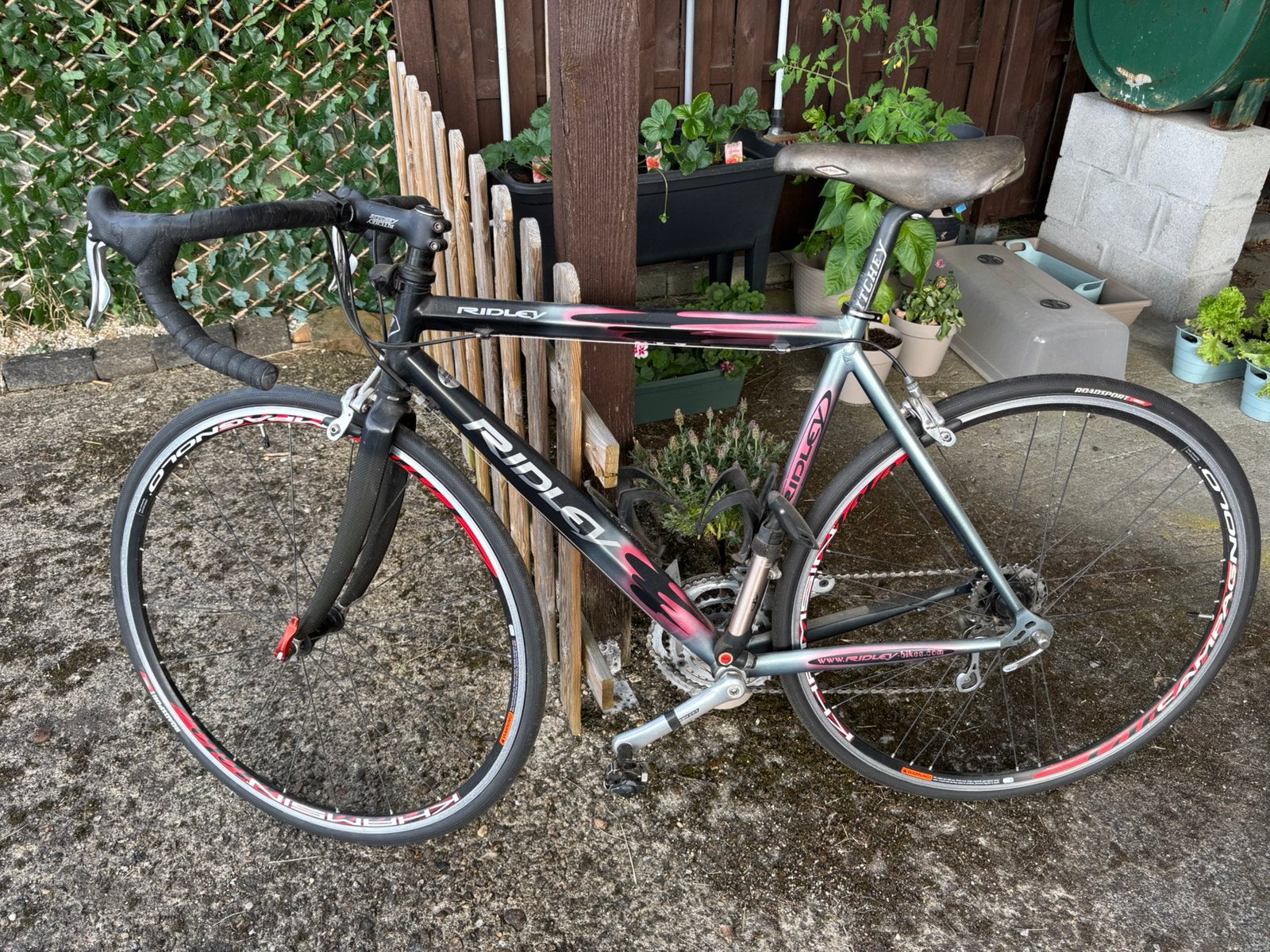 Mooie Ridley koersfiets, Enlèvement, Utilisé, Hommes, Autres marques