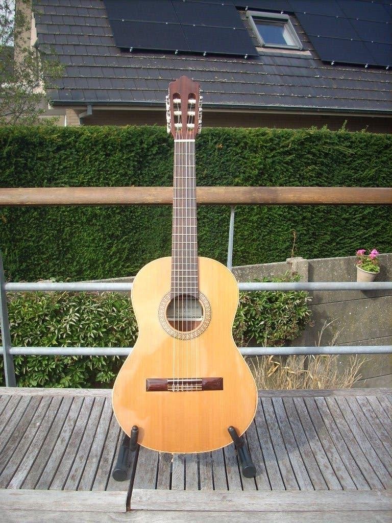 klein formaat klassieke gitaar Altamira, Enlèvement