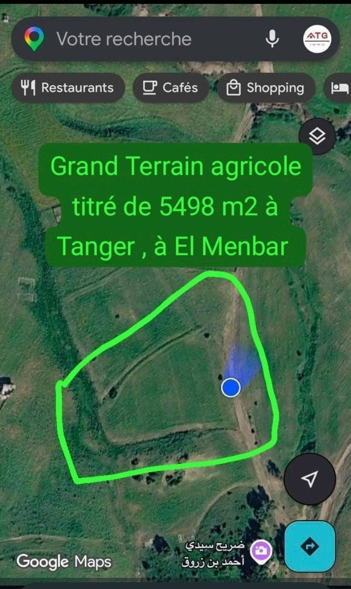 Te koop — Landbouwgrond met grote titel van 5498 m² in Tange, Immo, Gronden en Bouwgronden, Tanger Maroc, Verkoop zonder makelaar