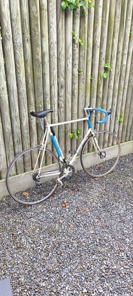 Gazelle vintage, Enlèvement