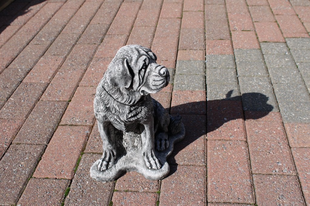 Zittende hond in gepatineerde steen, Tuin en Terras, Ophalen of Verzenden, Nieuw, Steen, Dierenbeeld