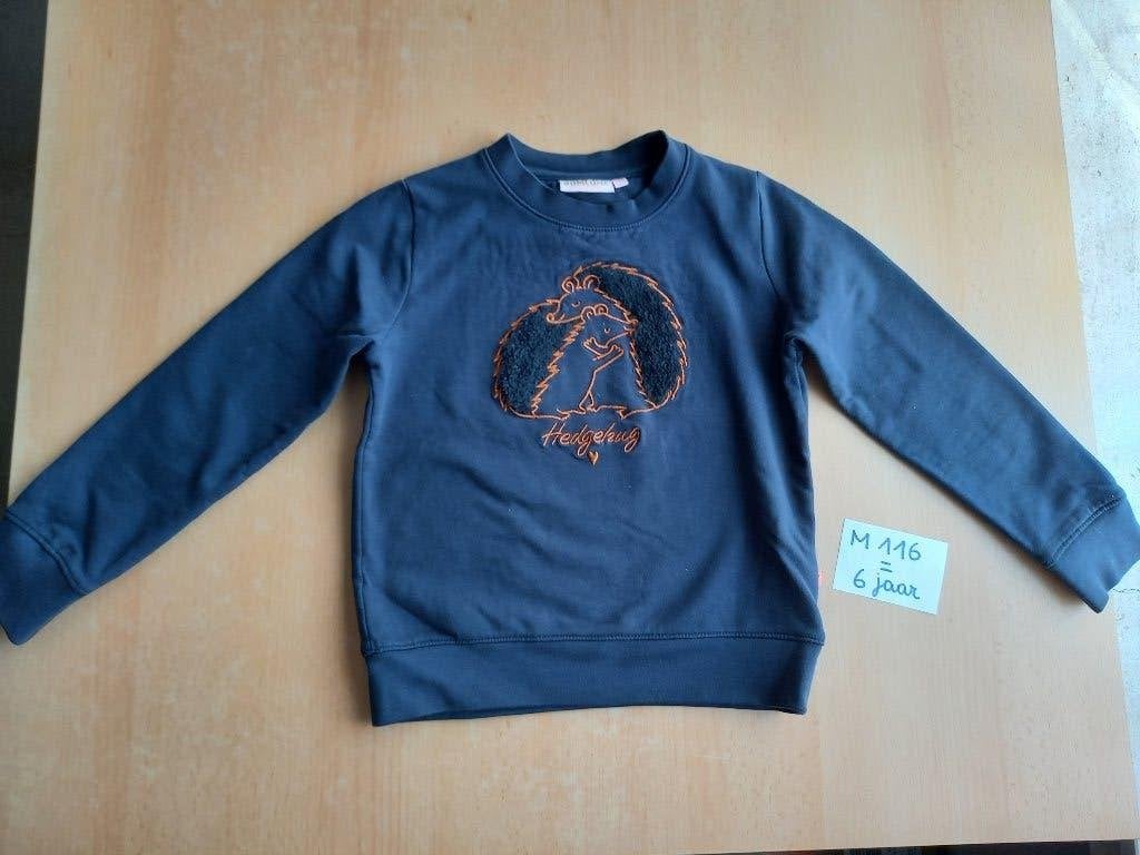 Grand paquet pull-overs et gilets pour filles, taille 116, Enlèvement ou Envoi, Comme neuf, Taille 116