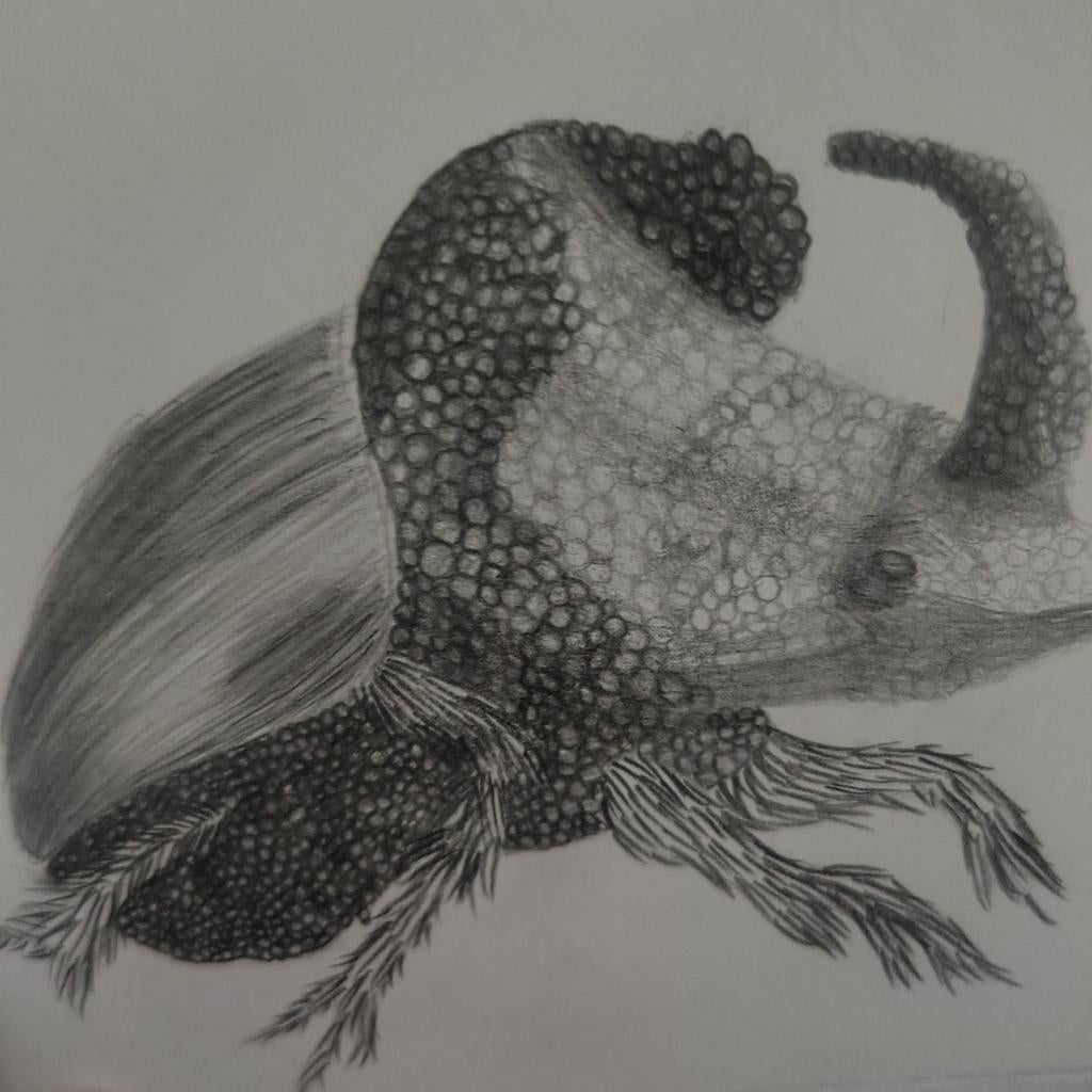 (Potlood)tekening, Antiek en Kunst, Ophalen of Verzenden