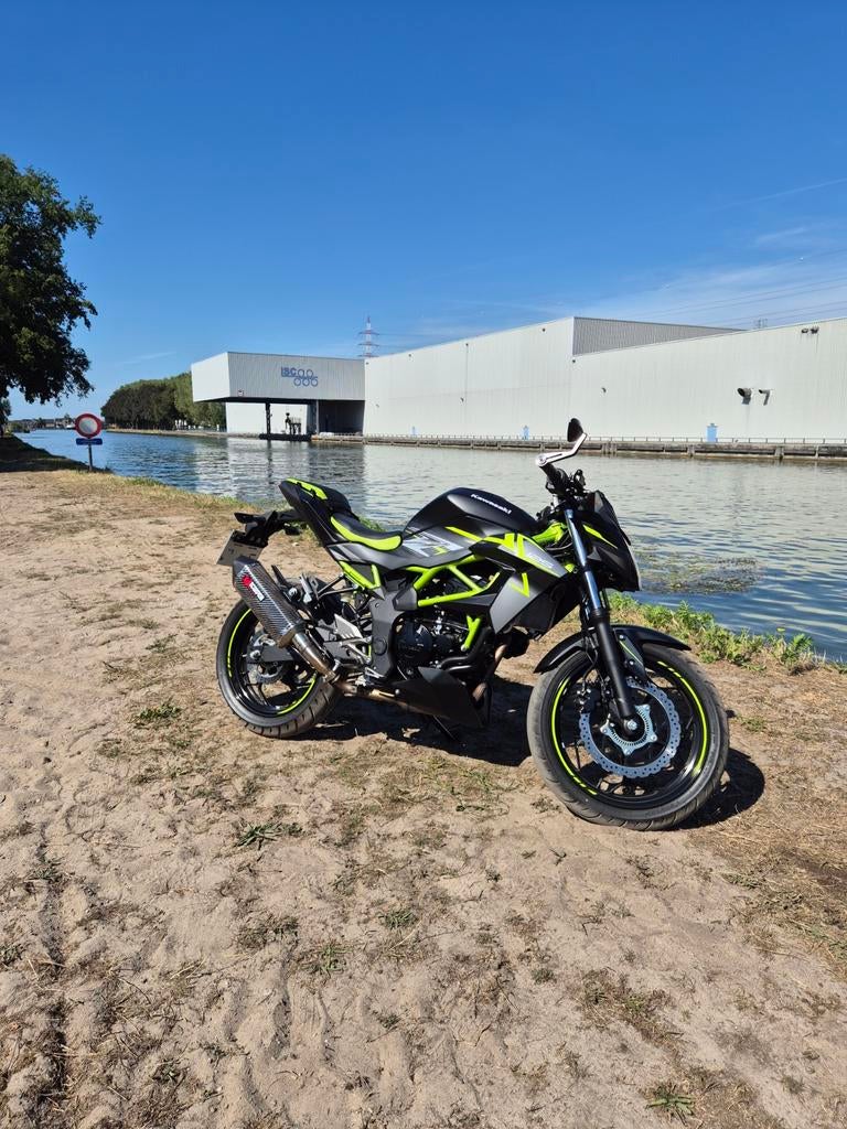 Kawasaki z125, Particulier