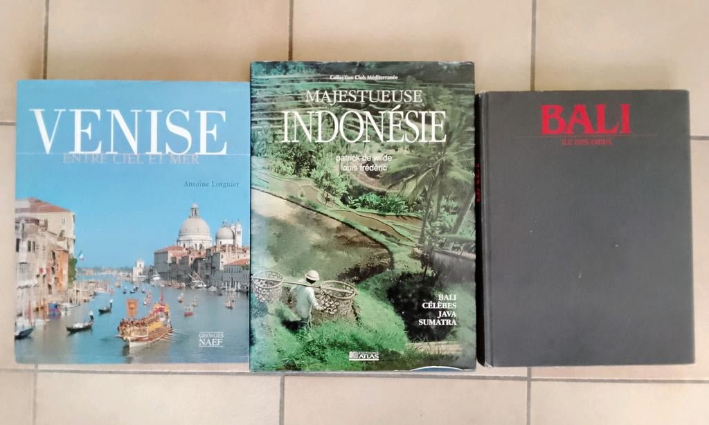 3 livres de voyage à donner gratuitement, Livres, Enlèvement, Utilisé