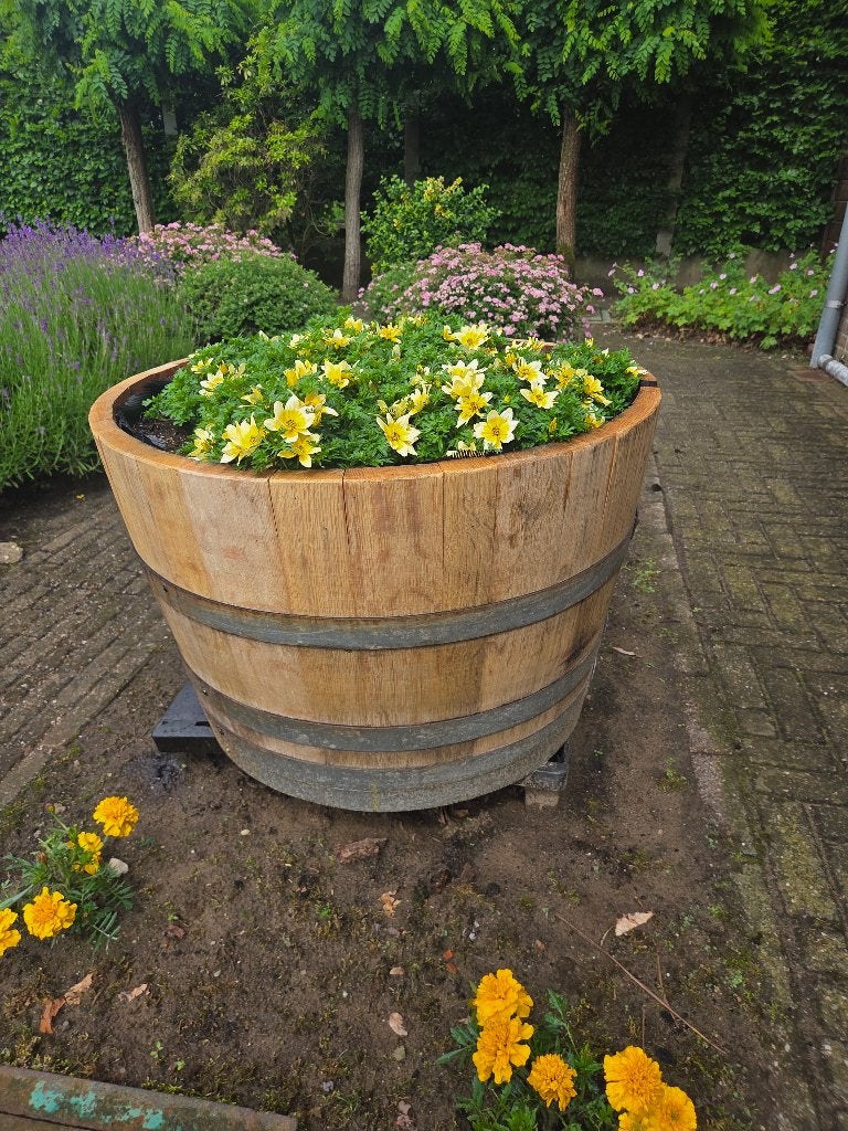 Eiken halve wijnvaten plantenbakken bloembakken ( Tonnen ), 75 tot 150 liter, Ophalen, Zo goed als nieuw, Hout