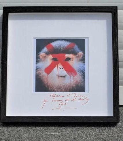 photographie signe myriam pienne, Antiquités & Art, Art | Dessins & Photographie, Enlèvement ou Envoi, Photo, Photographie