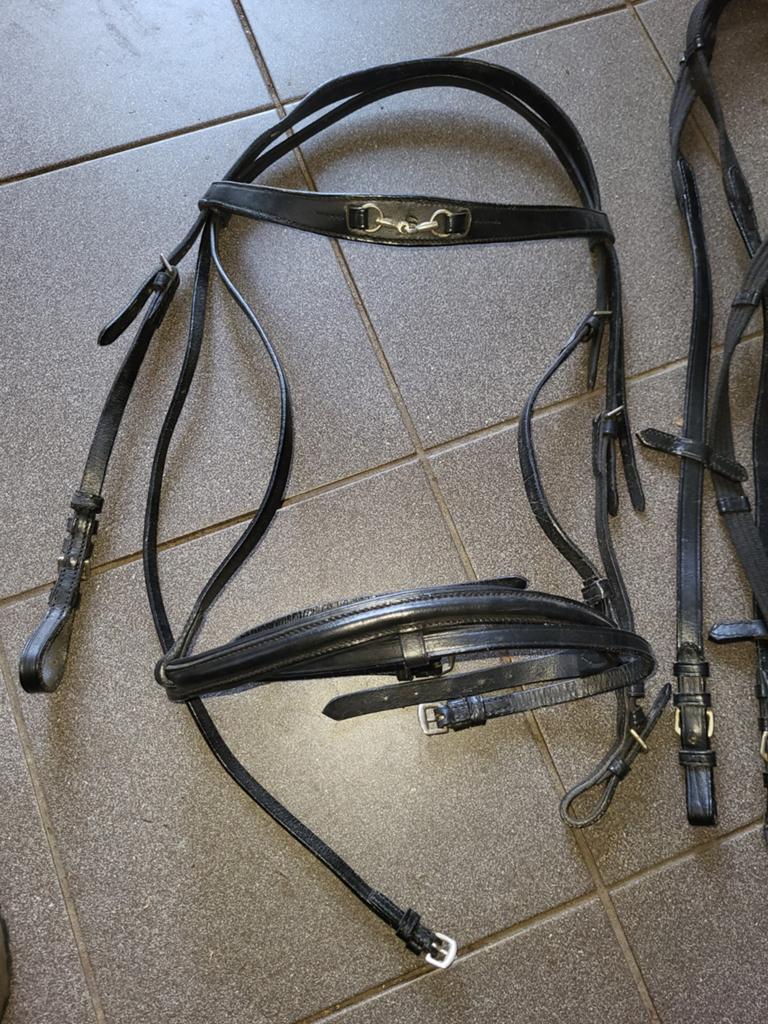 Hoofdstel met teugels, Dieren en Toebehoren, Paarden en Pony's | Hoofdstellen en Tuigage, Ophalen, Nieuw, Western