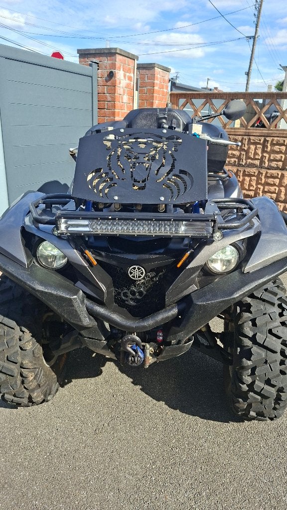 700 grizzly, Motos, 700 cm³