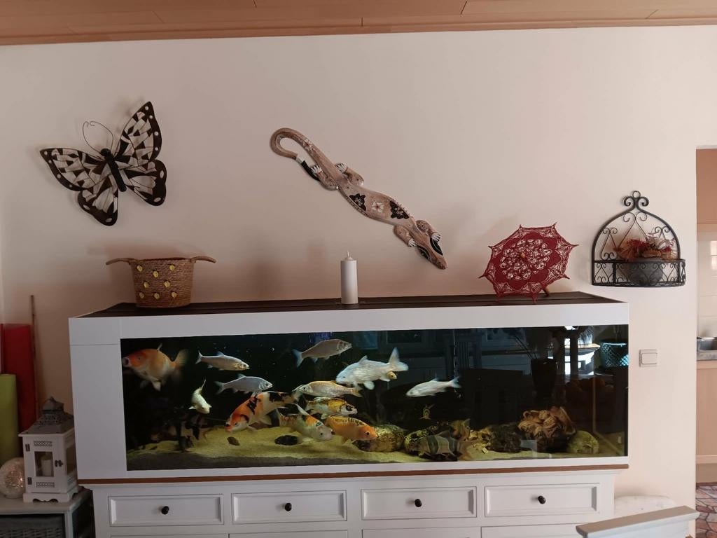 Aquarium (zonder vissen) 200x60cmx45, Ophalen
