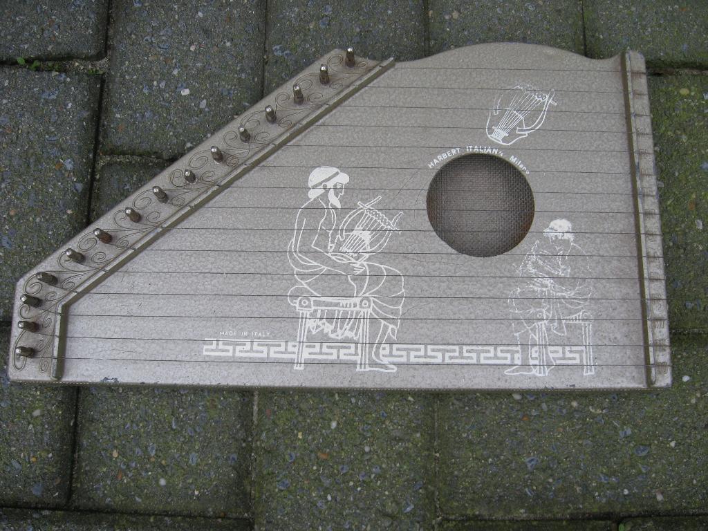Harp, Muziek en Instrumenten, Snaarinstrumenten | Harpen, Ophalen