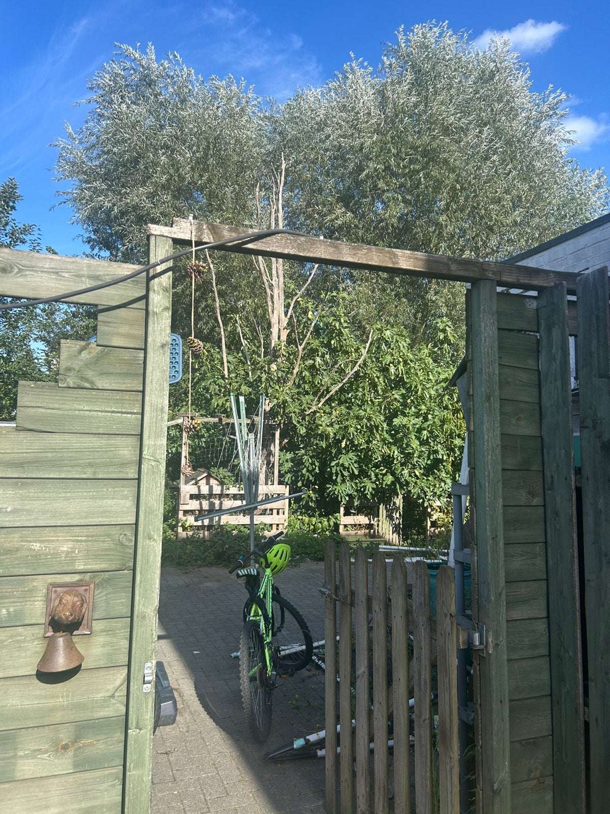 Gezocht: iemand die deze wilgen kan / wil snoeien, Tuin en Terras, Ophalen, Overige houtsoorten, Takken