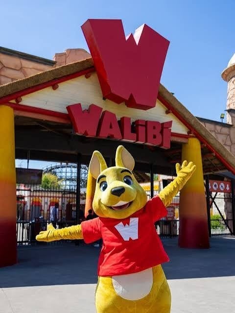 ticket walibi, Tickets en Kaartjes