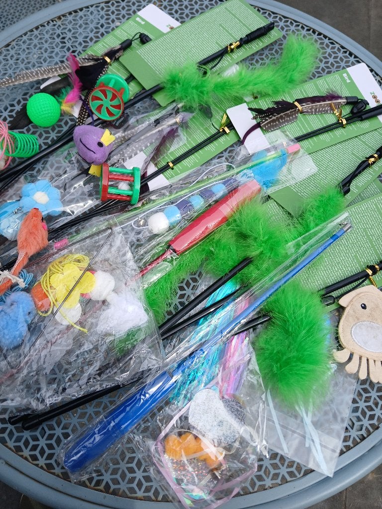 Jouets pour chat  (Lot divers), Animaux & Accessoires, Enlèvement, Neuf, Autres jouets