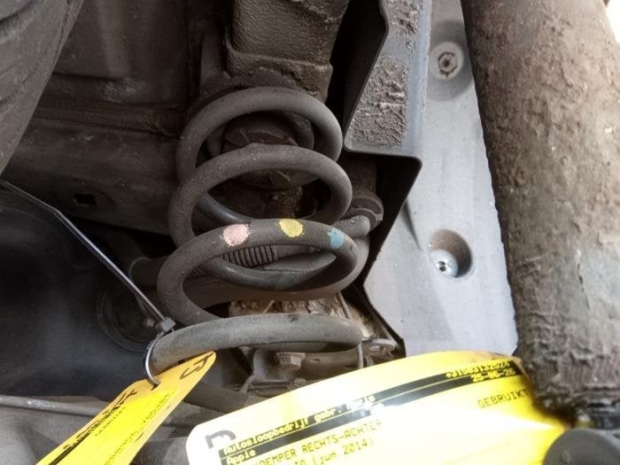 Ressort de flexion arrière d'un Renault Clio, -, Renault, -, 3 mois de garantie