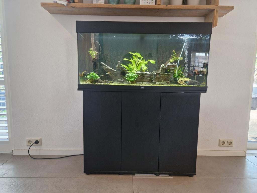 Hele mooie Juwel rio 180 van ca 101 cm breed, 180 liter, Dieren en Toebehoren, Ophalen, Verwarming, Juwel