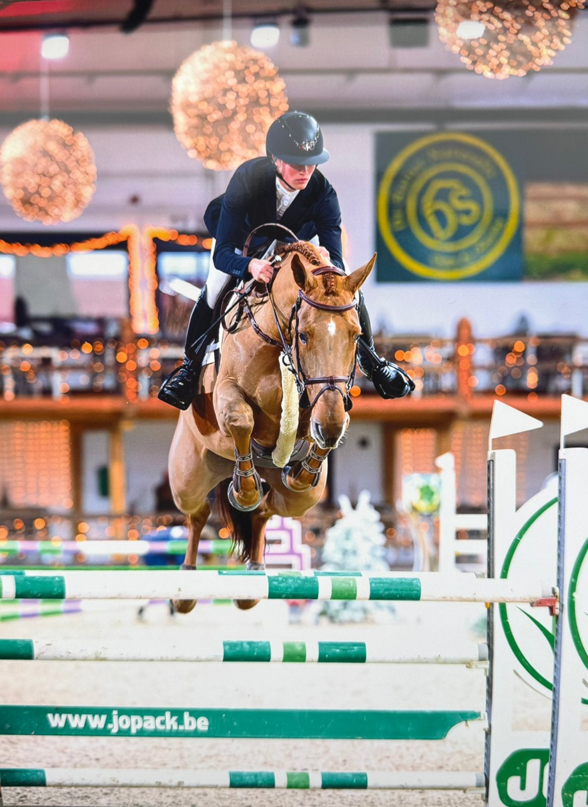 Stalhulp gezocht Herentals, Dieren en Toebehoren, Paarden