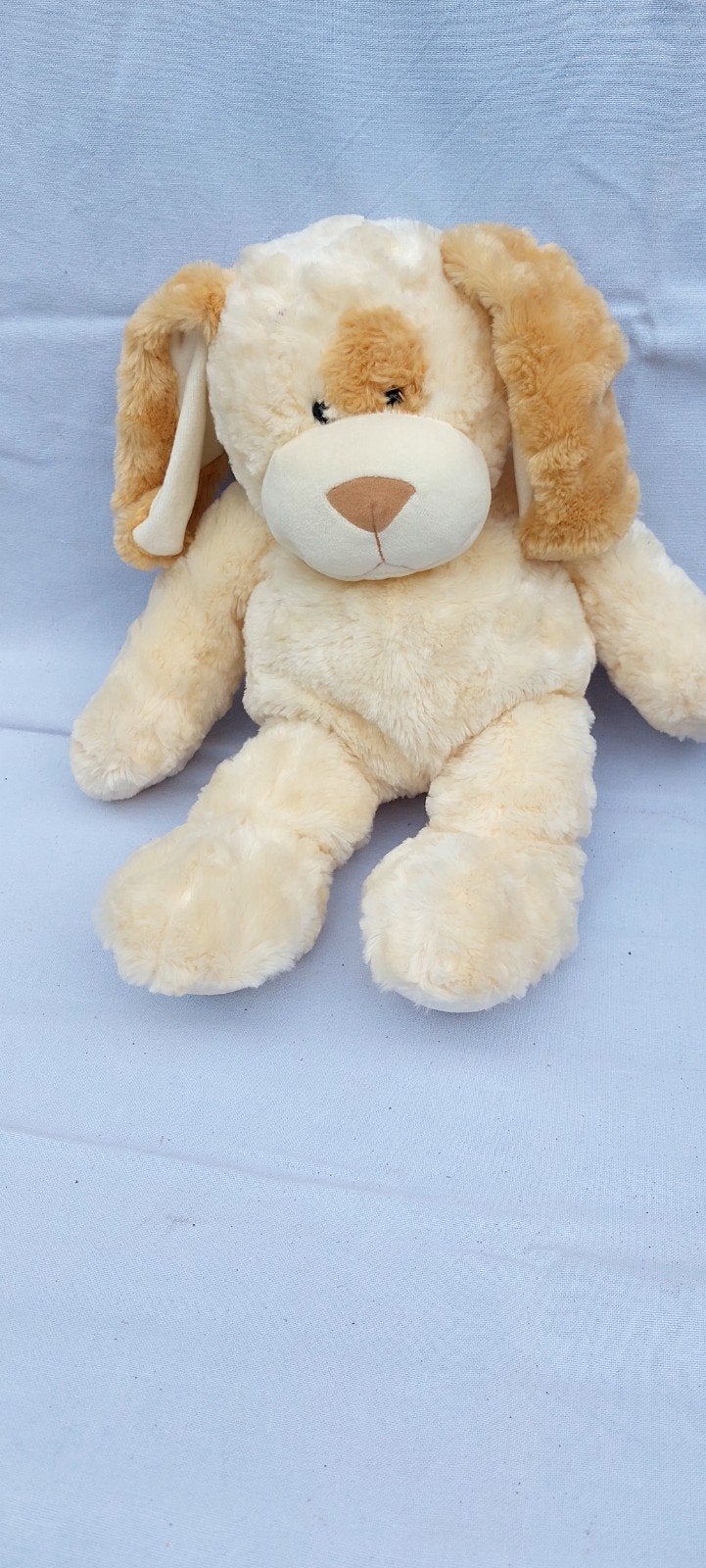 zeer zachte hond, Ophalen of Verzenden, Hond