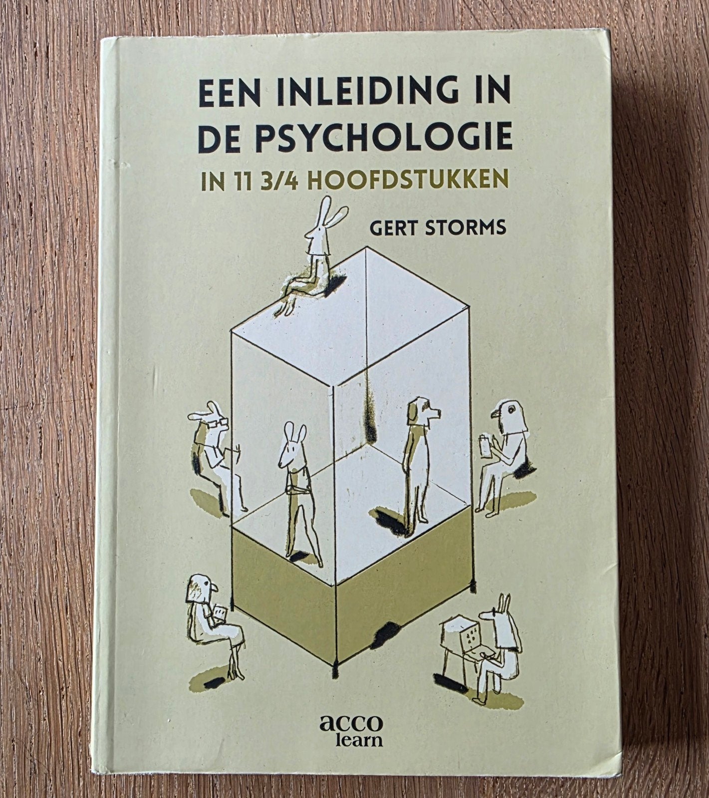 Een inleiding in de psychologie in 11 3/4 hoofdstukken, Livres, Enlèvement ou Envoi, Comme neuf, Psychologie sociale, Gert Storms