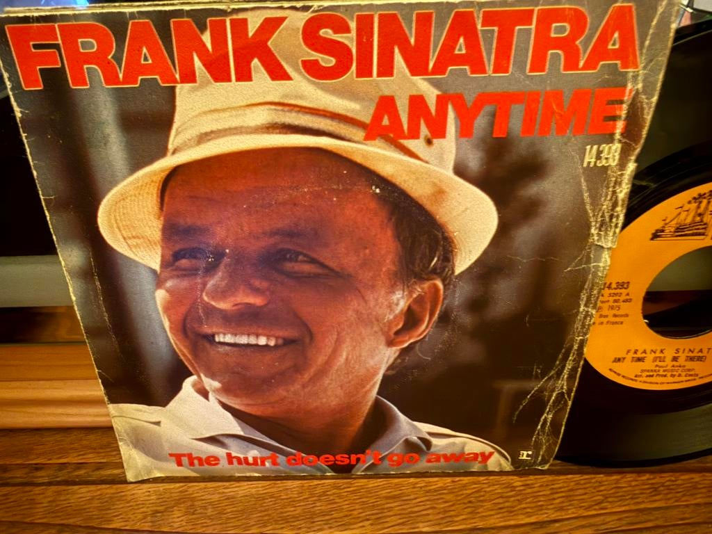 Anytime - The Hurt Doesn’t Go Away, Cd's en Dvd's, Vinyl Singles, Gebruikt, Wereldmuziek, 7 inch, Single