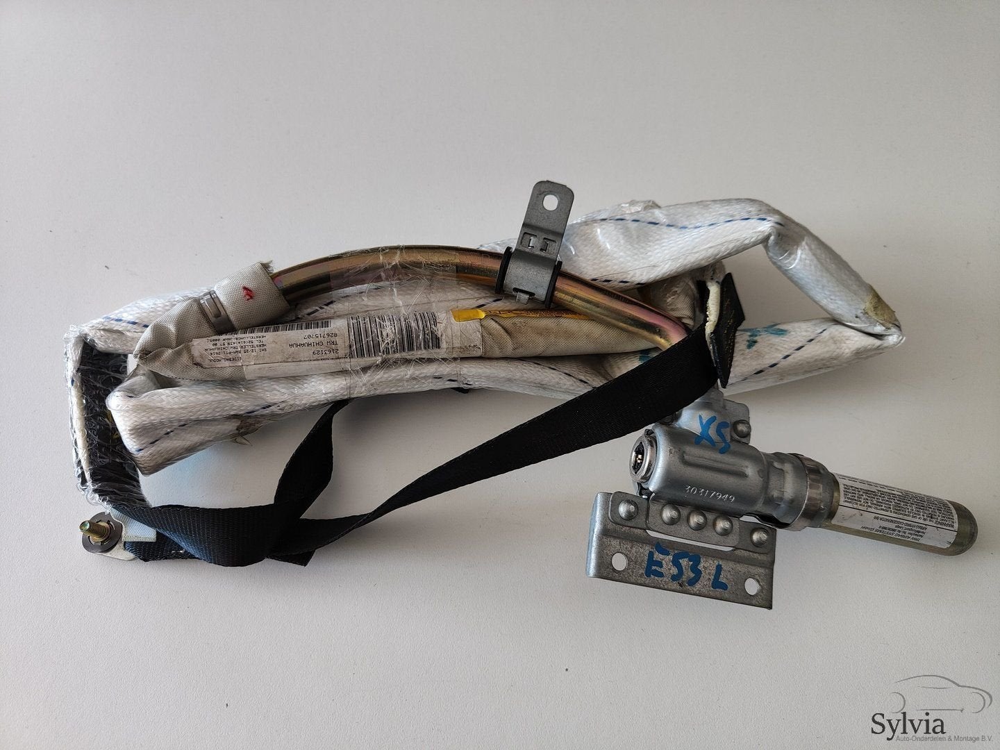 Dak Airbag hemel links  BMW X5 E53 8267157, Gebruikt, -, -, Ophalen of Verzenden