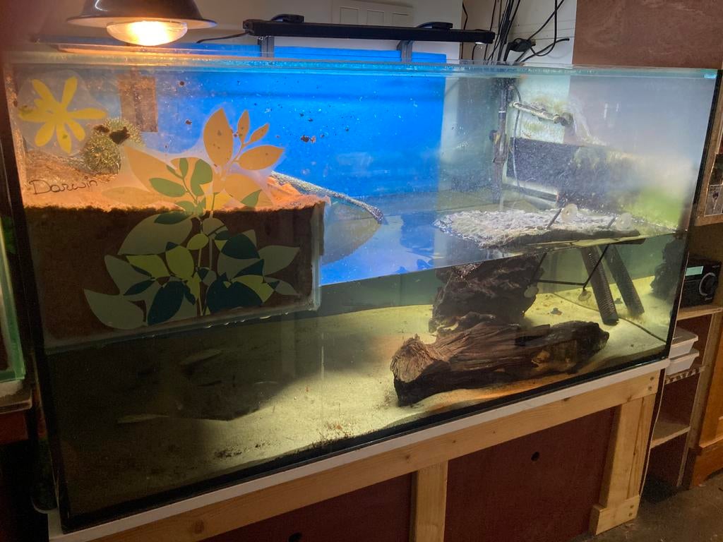 Aquarium terrarium schildpad 120cm breed, Dieren en Toebehoren, Ophalen, Gebruikt, Terrarium of Paludarium