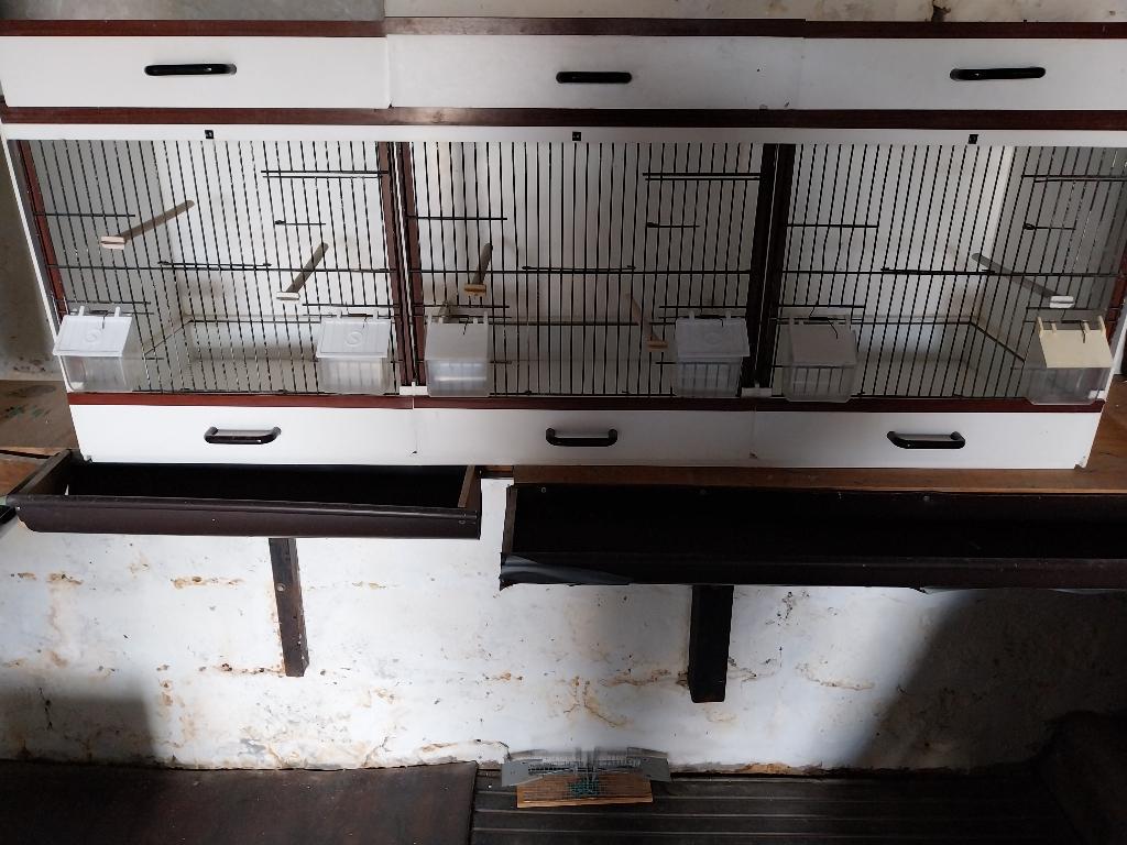 kweekkooi, Dieren en Toebehoren, Vogels | Hokken en Kooien, Ophalen, Zo goed als nieuw, Kunststof, Broedkooi of Kweekkooi