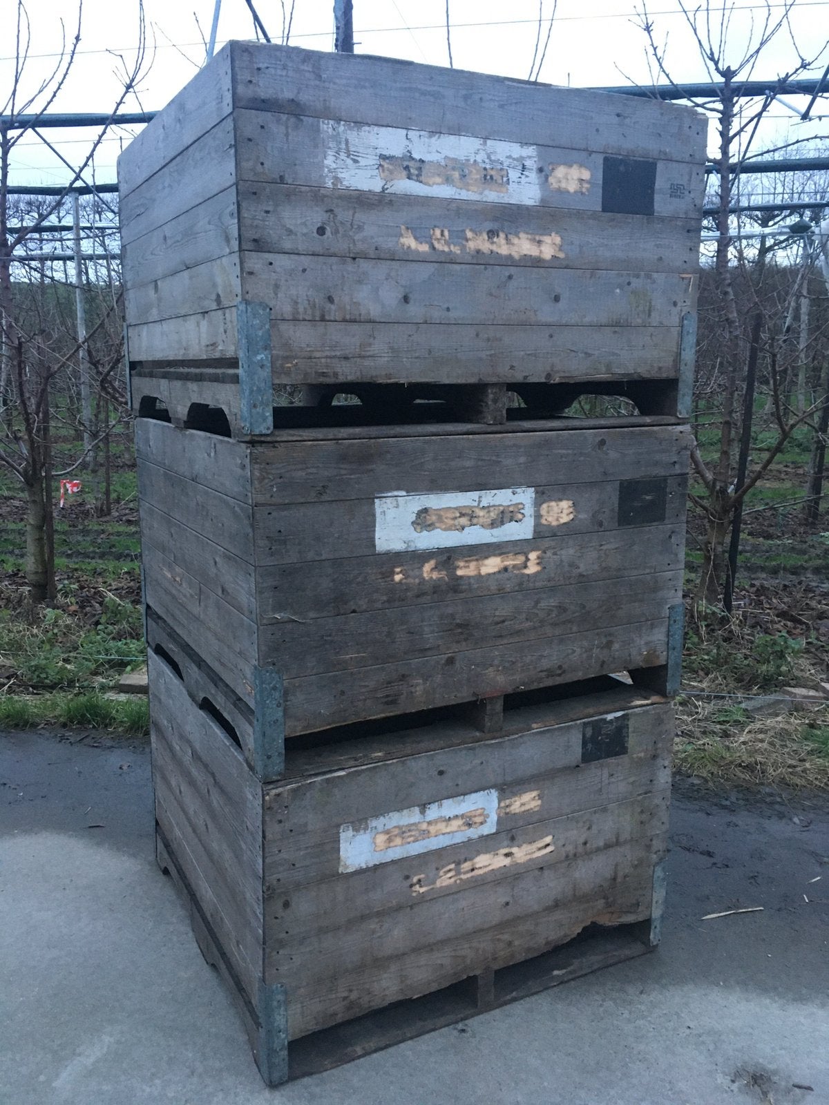 Fruitbakken palloxen palox fruitkist fruitkratten kisten, Ophalen