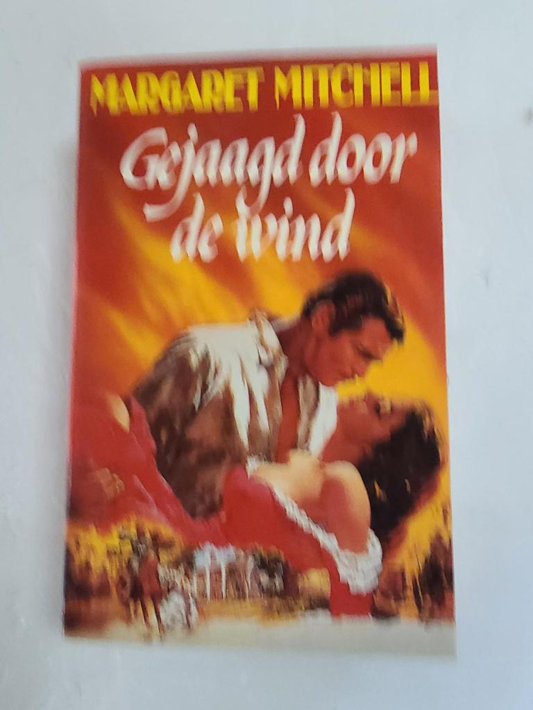 boek gejaagd door de wind, Ophalen of Verzenden, Zo goed als nieuw