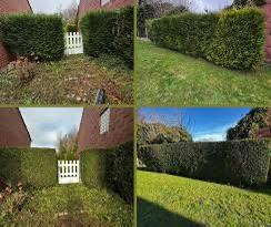 Jardinier region de charleroi, Thuin et alentours, Enlèvement